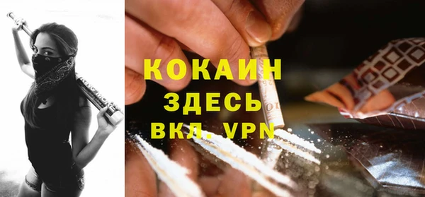 PSILOCYBIN Абаза