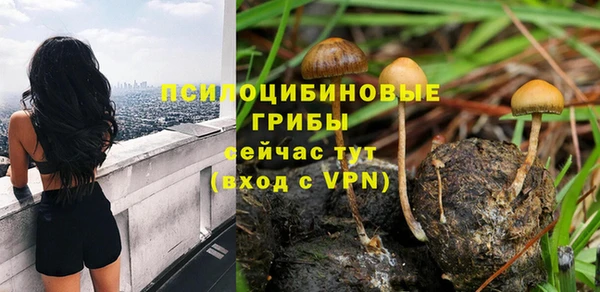 круглые Алзамай