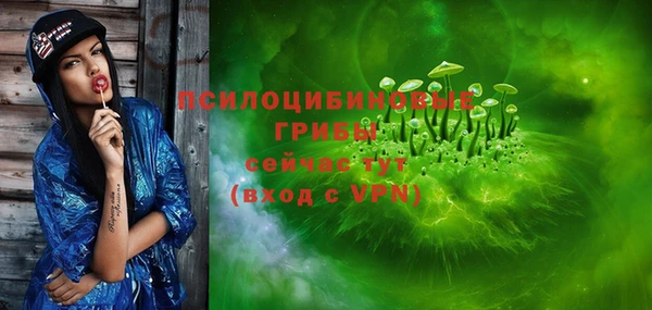 PSILOCYBIN Абаза
